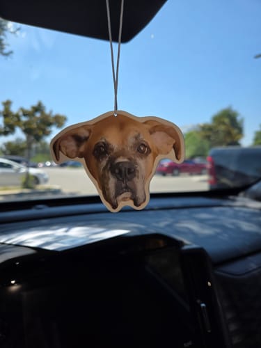 Customer photo review of Custom Air Freshener