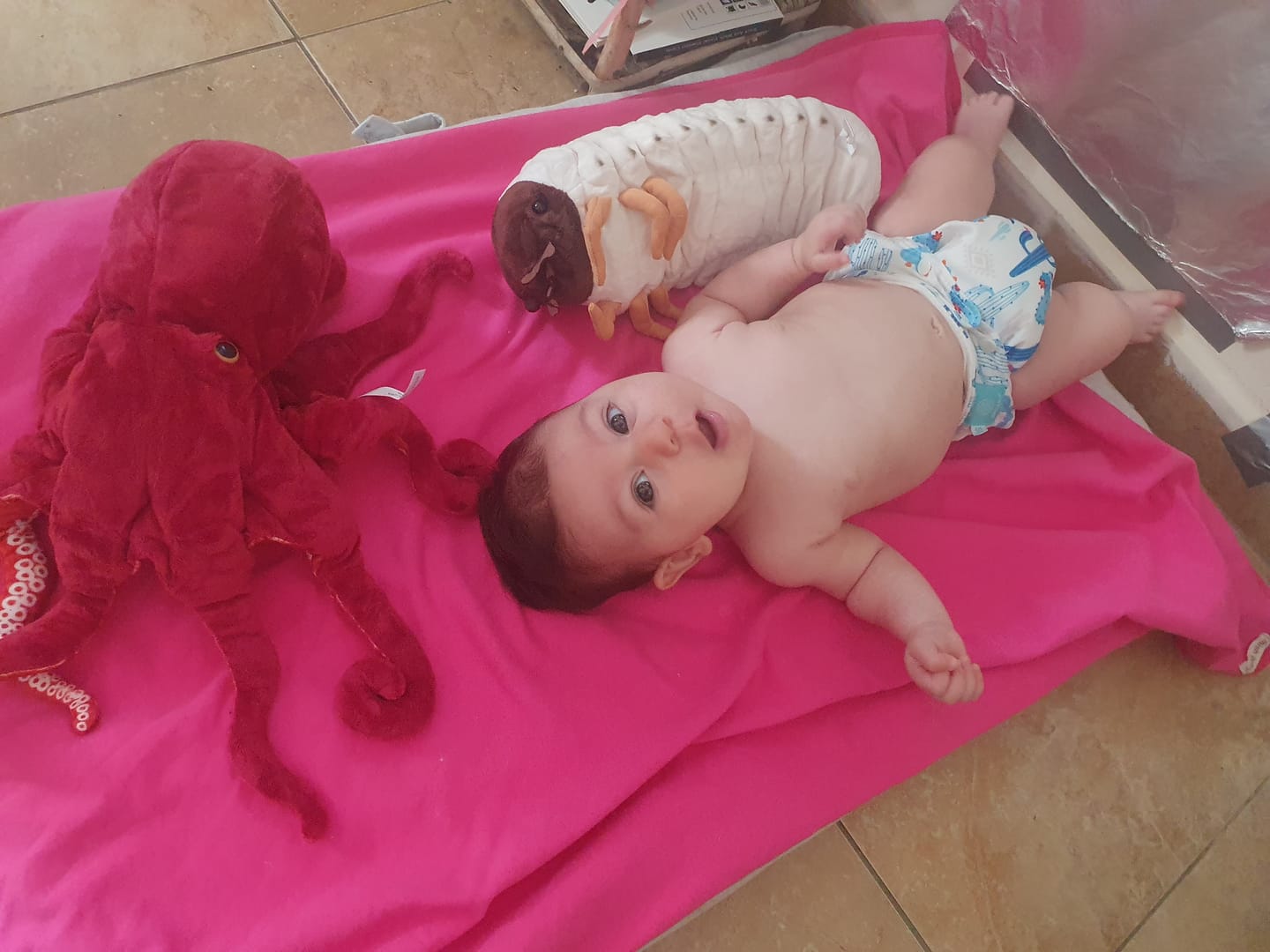 Customer photo review of White Grub Soft Stuffed Plush Toy
