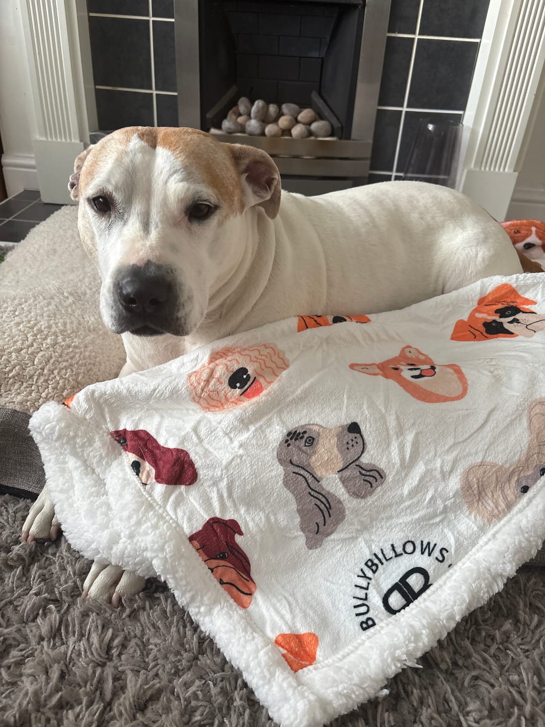 Customer photo review of Luxury Dog & Human Blanket
