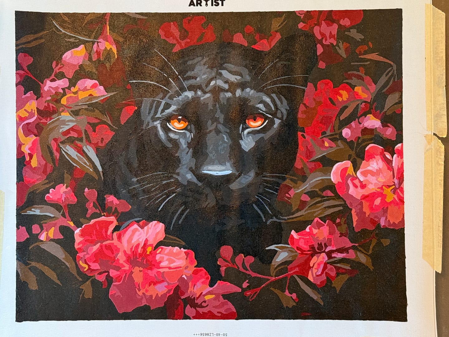 Customer photo review of Red Eyed Panther