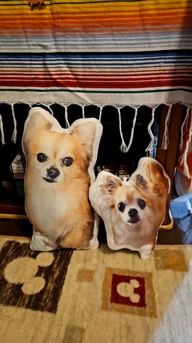 Customer photo review of 本物そっくり♪ペットフェイスバッグ