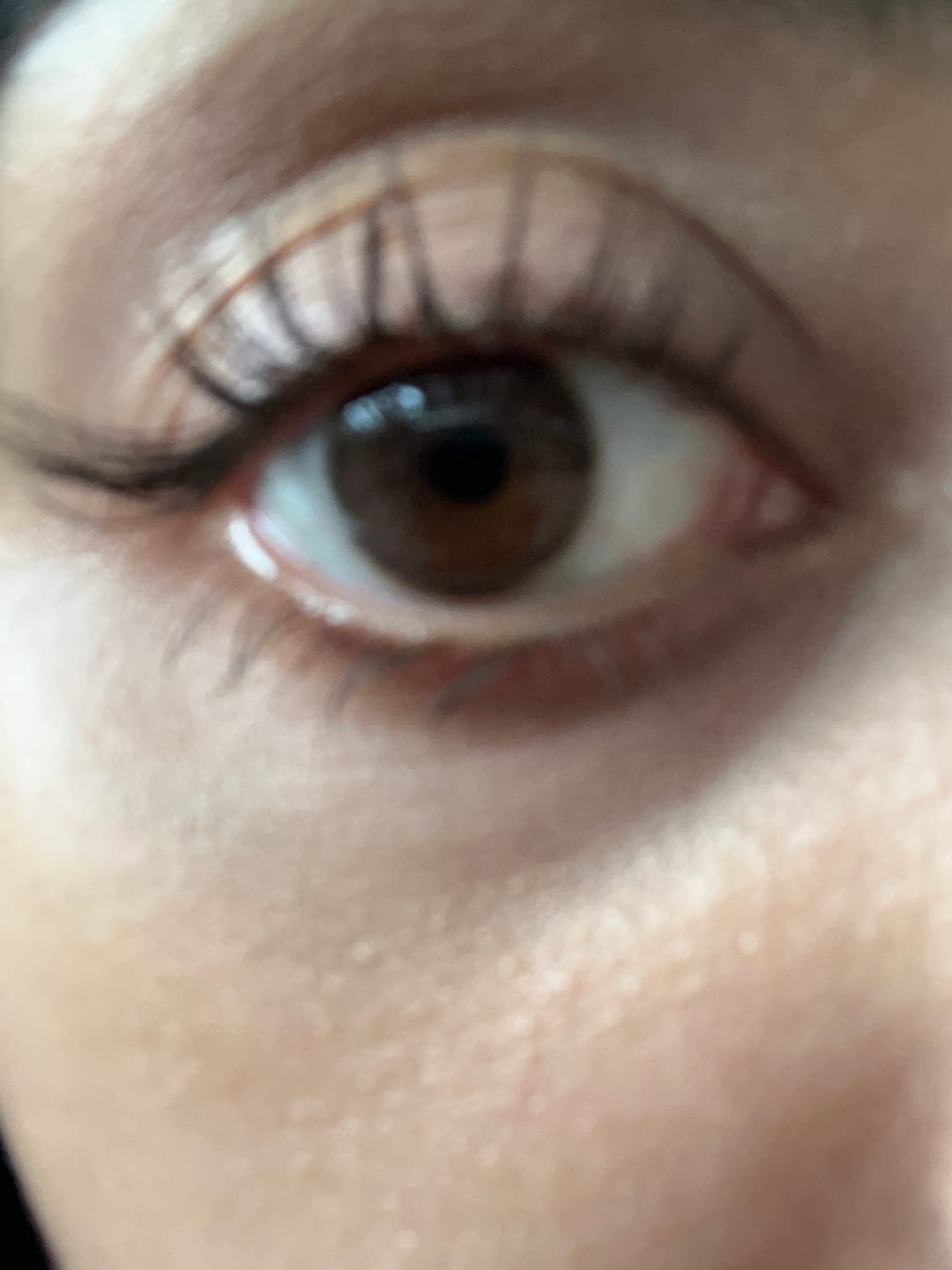 Customer photo review of Olens ViVi Ring 1 Day Choco Lenses