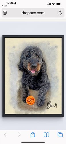 Customer photo review of Personalized Pet portrait