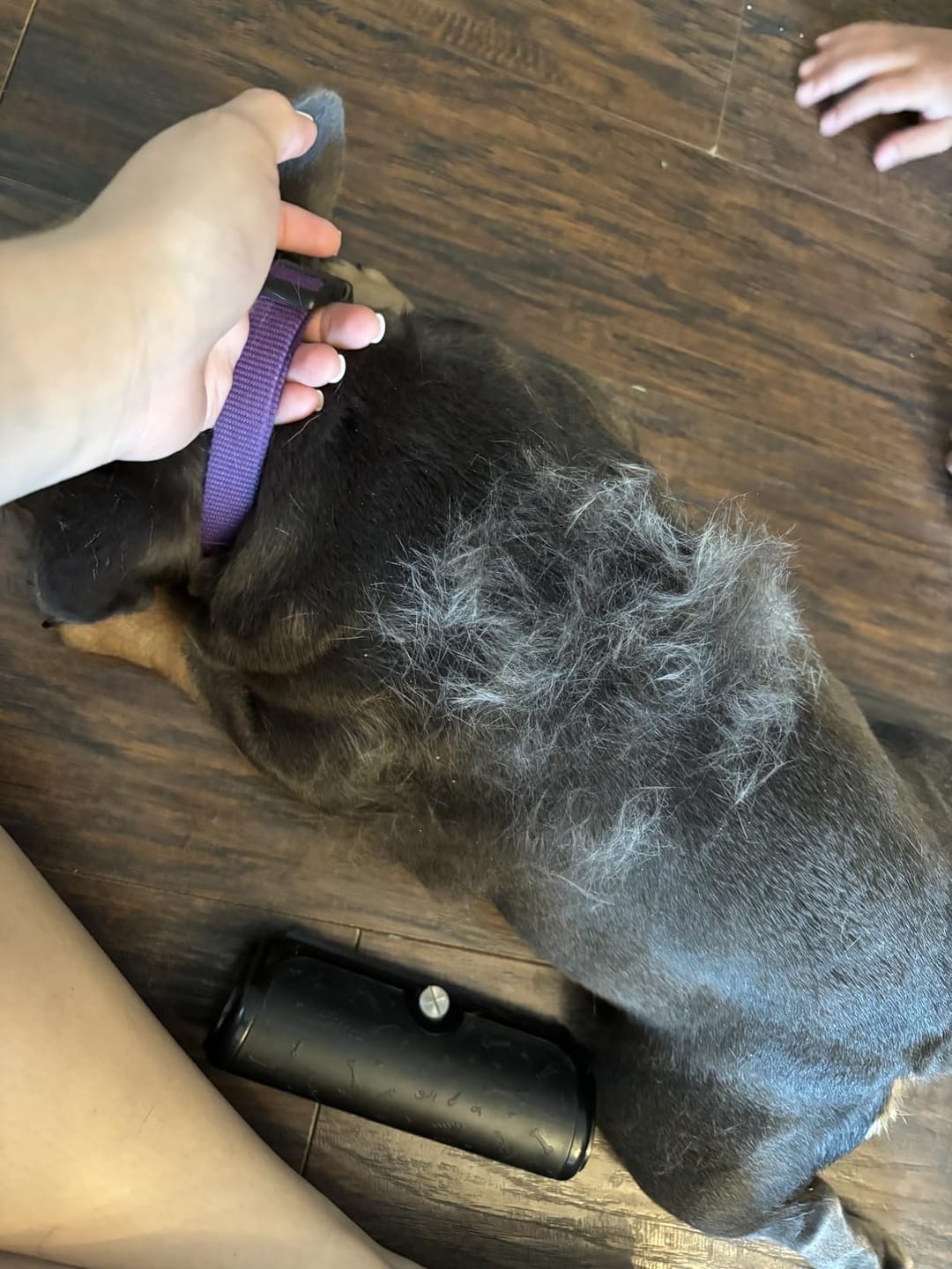 Customer photo review of GroomEase