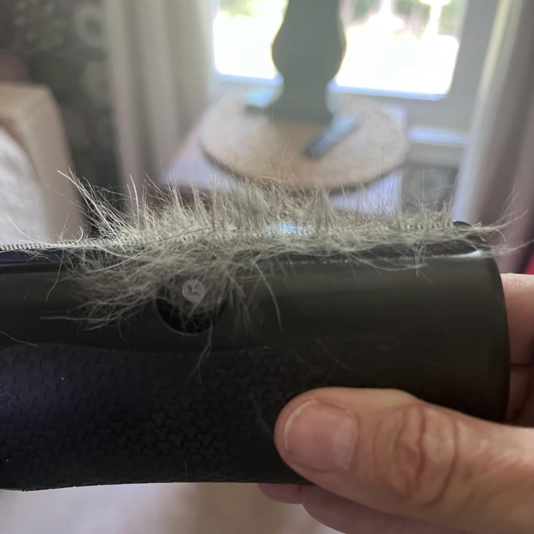 Customer photo review of GroomEase