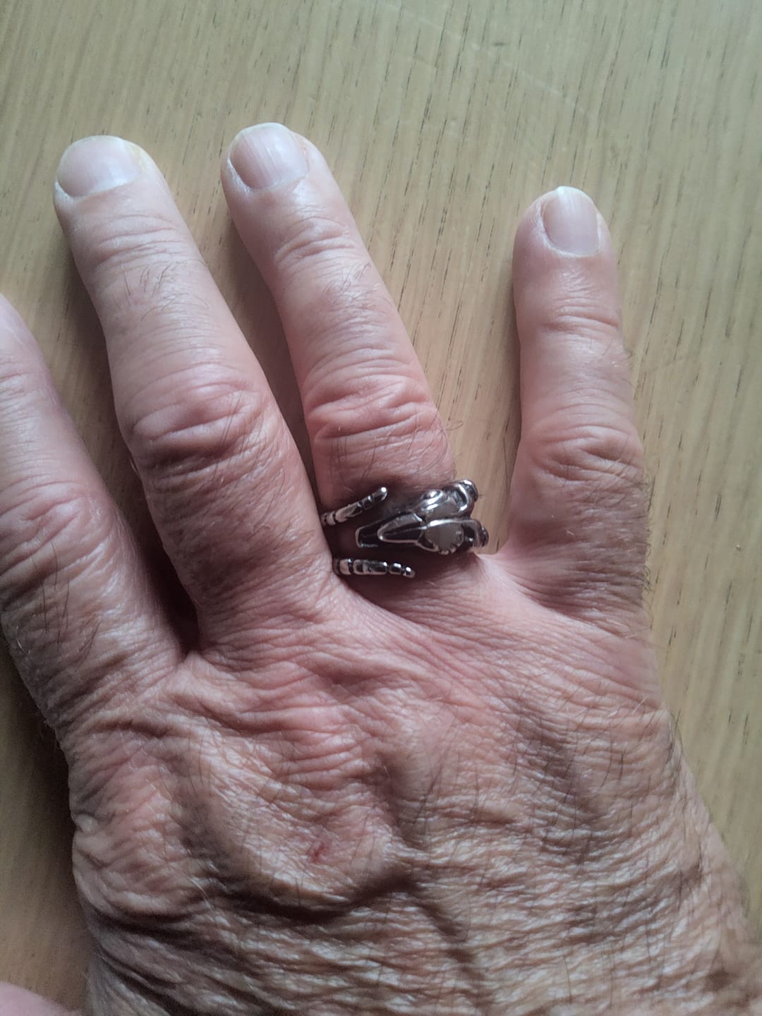 Customer photo review of HORNED.
