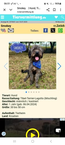 Customer photo review of Beste Hunde Mama 3D Optik - Individuelle Tasse