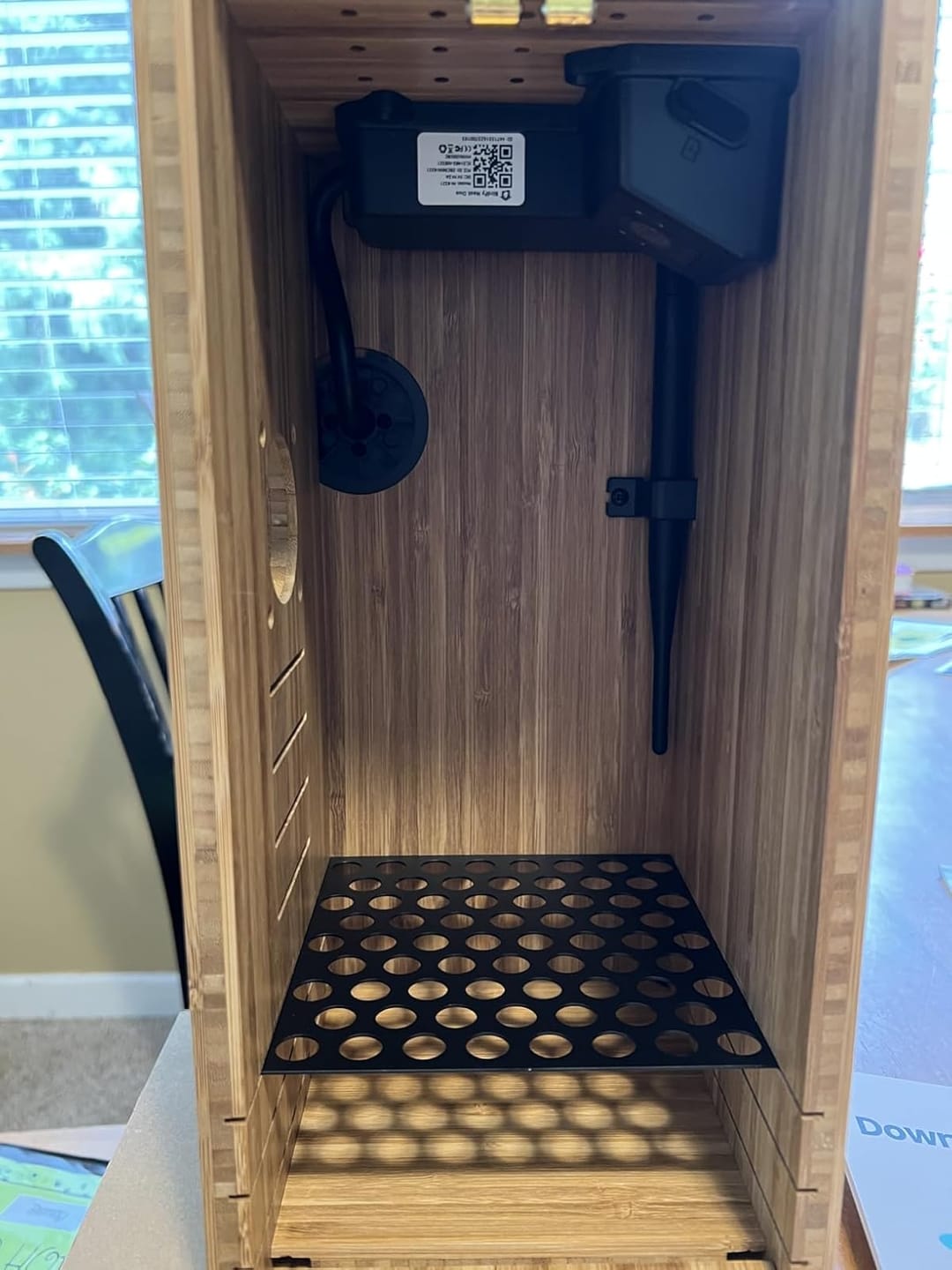 Customer photo review of Birdfy Nest Duo - Smart Bird House with Dual Cameras