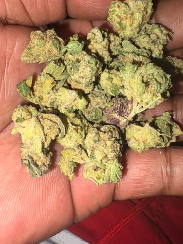 Customer photo review of Kush Mintz - Bulk Littles - Hybrid
