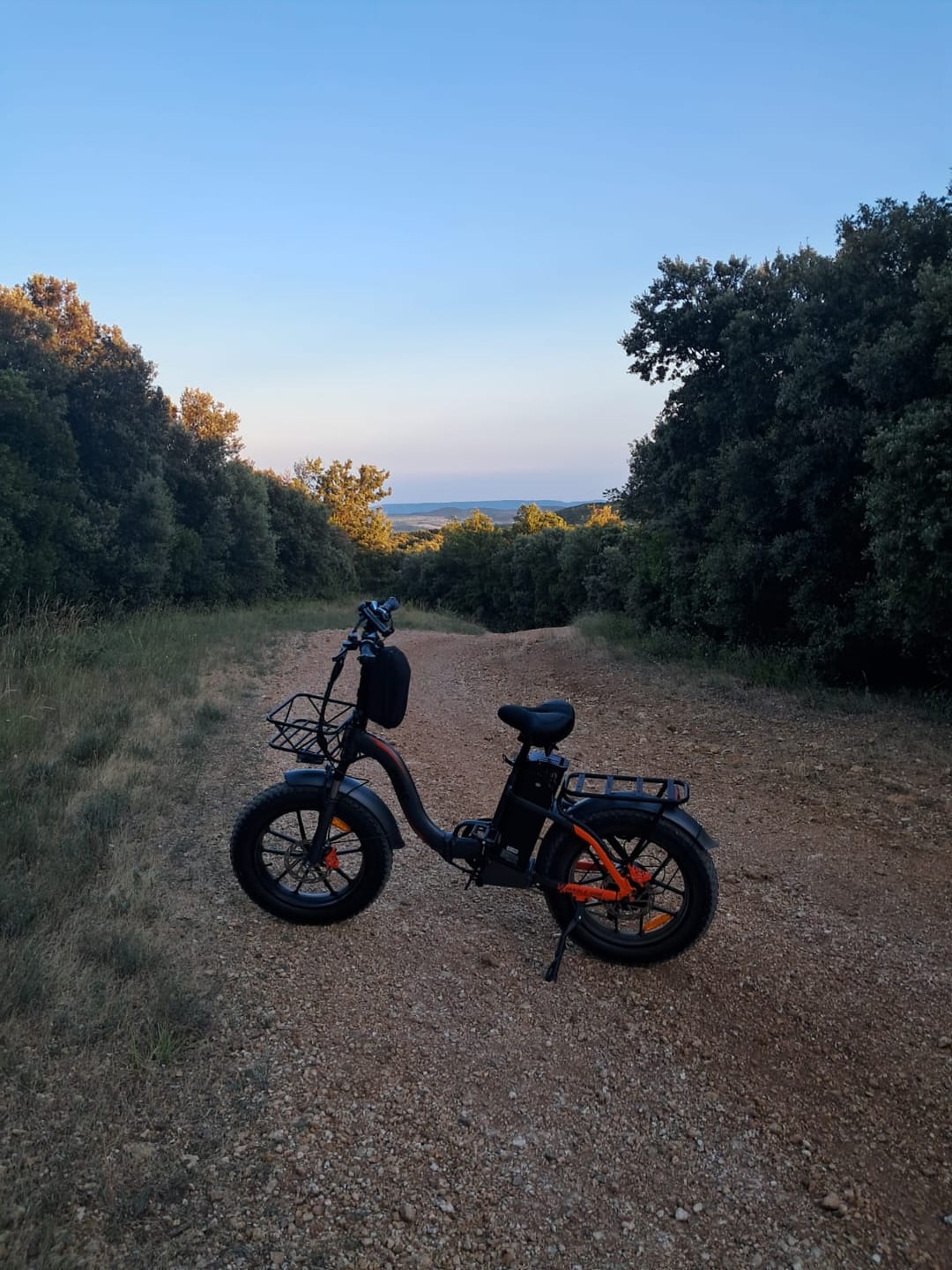 Customer photo review of Vakole Y20 Pro 20" Fat Bike 1440Wh Foldable Step-through E-bike 48V 30Ah Battery