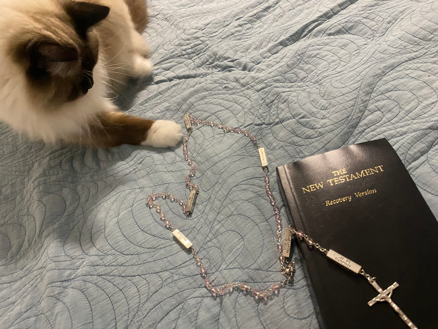 Customer photo review of FREE Today: Crucifixion Crystal Rosary