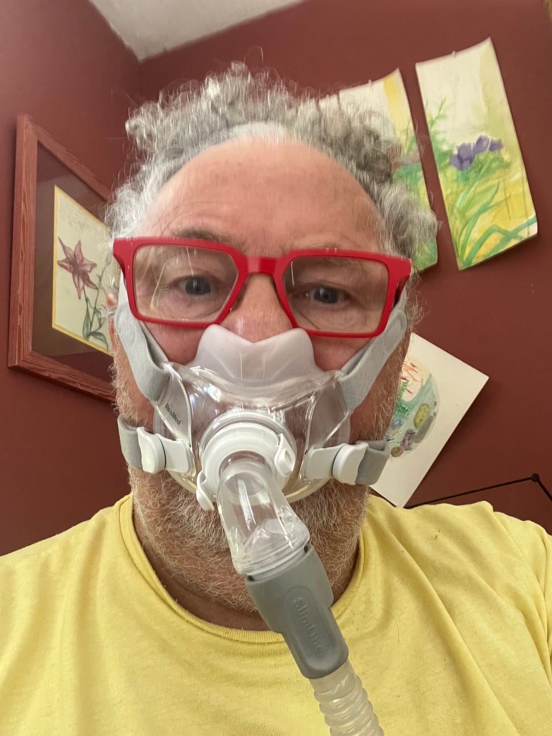 Customer photo review of ResMed AirFit™ F30 Full-Face Mask Complete System