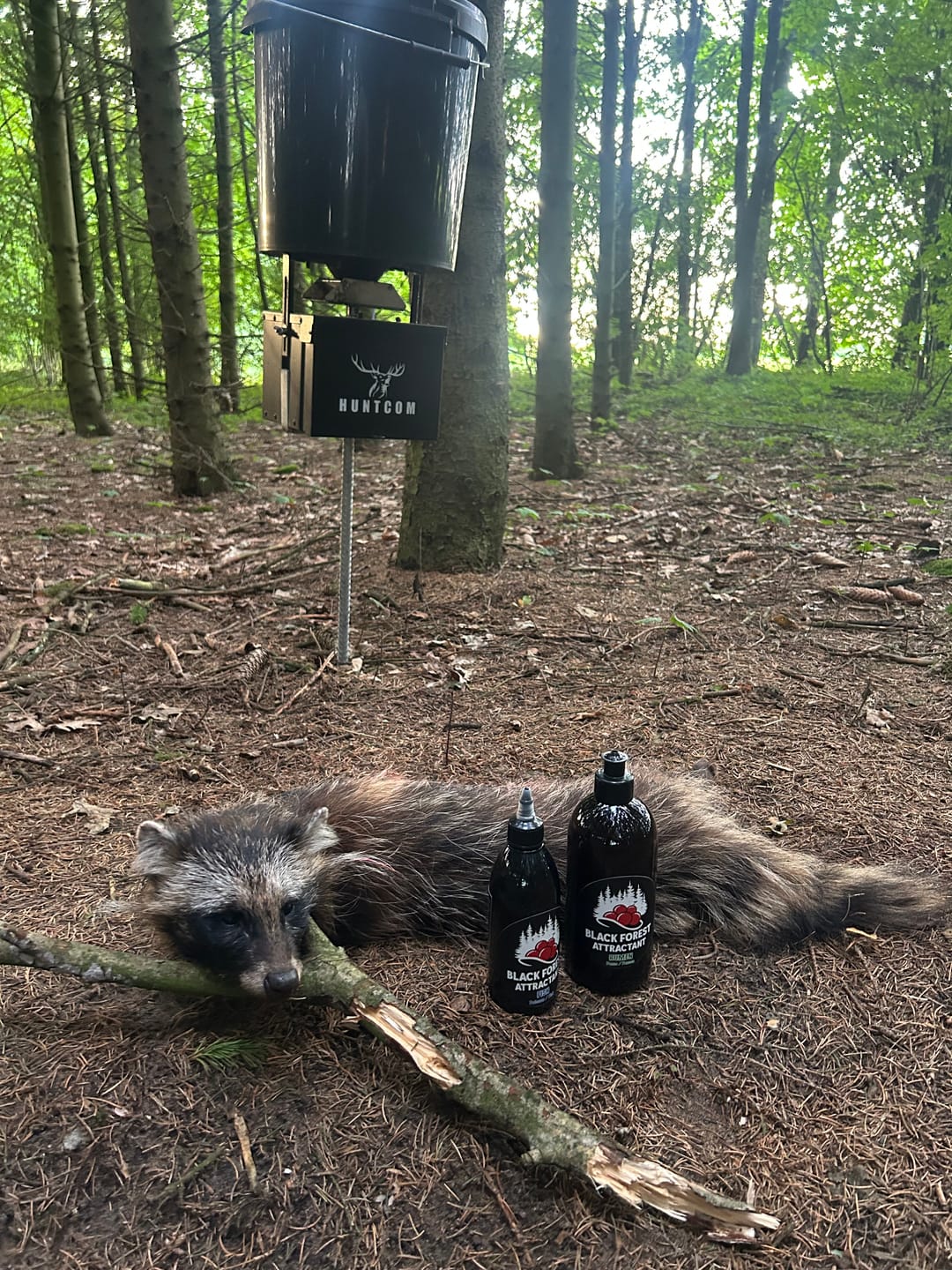 Customer photo review of Coonfeeder