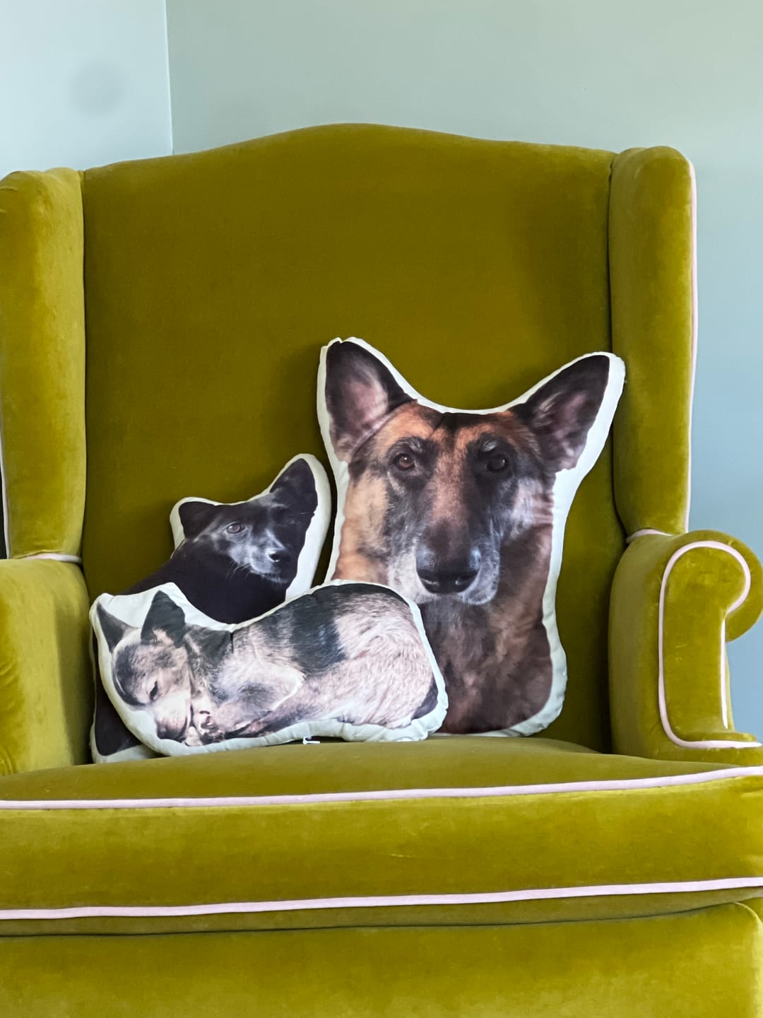 Customer photo review of Custom Dog Shaped Memorial Pillow for Pet Owners from Your Pet Picture