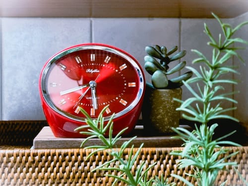 Rabah E. review of Assorted Faux Potted Succulent image 1 out of 1