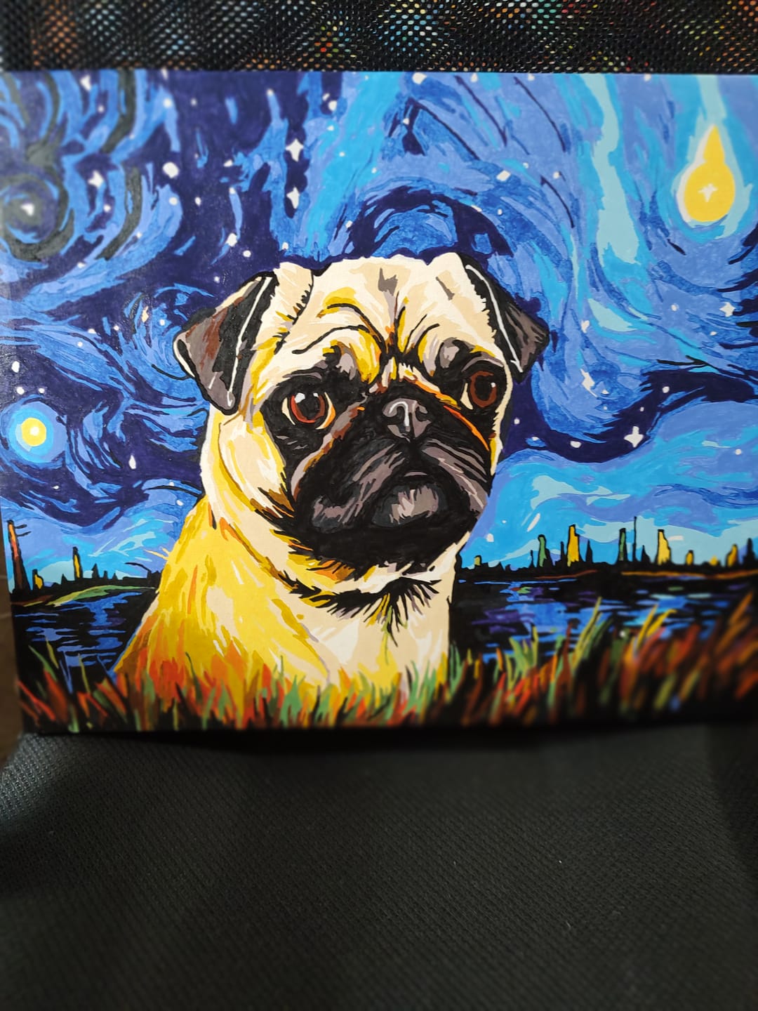 Customer photo review of Starry Night Pug  Paint by Numbers Kit