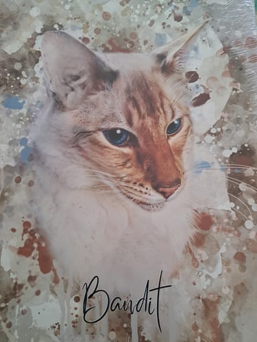 Customer photo review of Aquarell Pawtrait