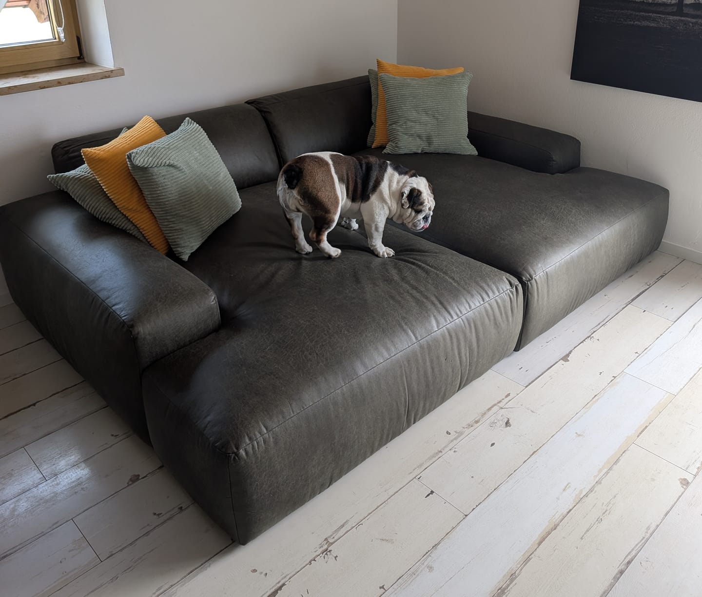 Customer photo review of Bigsofa Timmy - 264x178cm