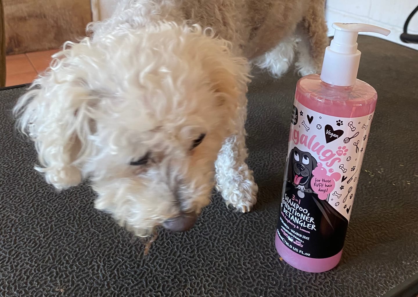 Customer photo review of 3 in 1 Raspberry & Lemon Dog Shampoo, Conditioner & Detangler