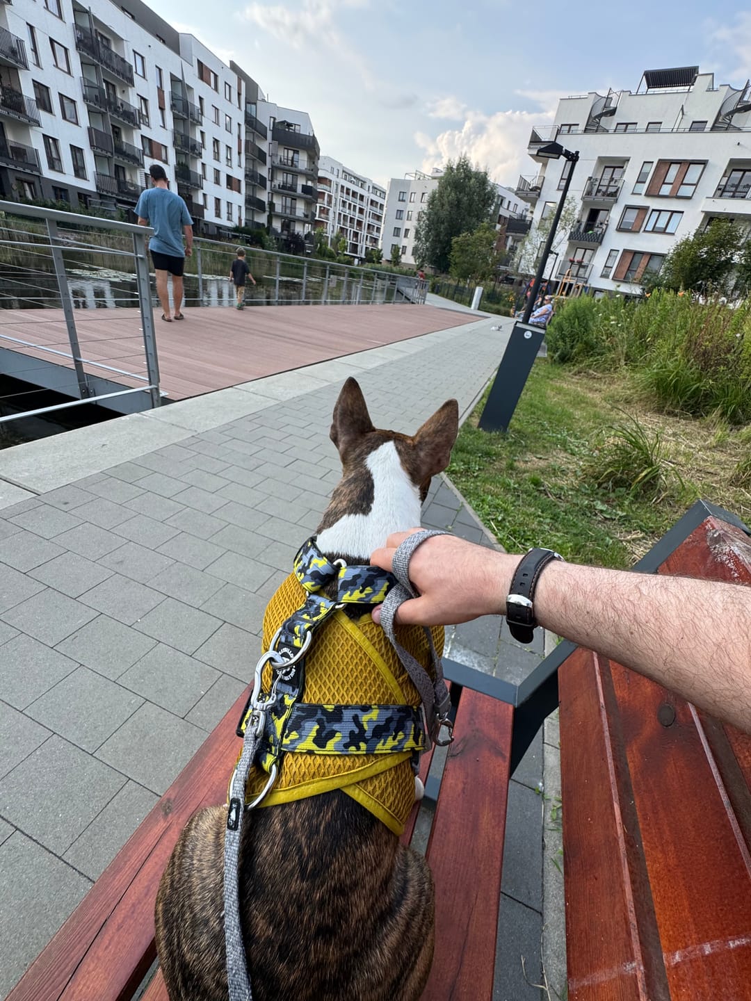 Customer photo review of Training Anti Pull TRI-Harness® | M-XL Breeds - Lightning