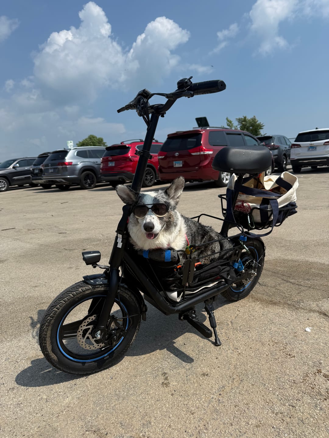 Customer photo review of Gyroor 1000W(Peak) Foldable Electric Scooter with Seat, Removeable Dual Baskets, 300lbs Load, 30-Mile Range