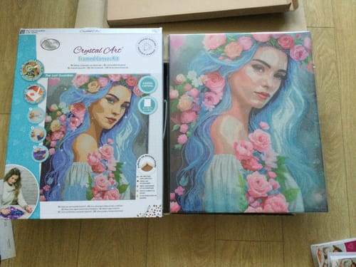 Customer photo review of "The Lost Guardian" Crystal Art Canvas Kit 40x50cm