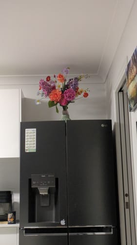 Customer photo review of Sonny