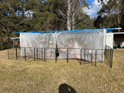 Customer photo review of PaWz 8 Panel Pet Dog Playpen