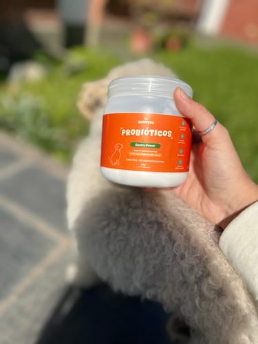 Customer photo review of Probioticos | Regula la salud intestinal, digestiva y alergias