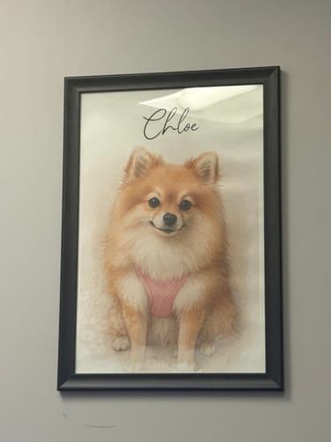 Customer photo review of Custom Watercolor Portraits Using Pet Photo - Personalized Poster - Gift for Dogs Cats Lovers, Pet Lover Gift