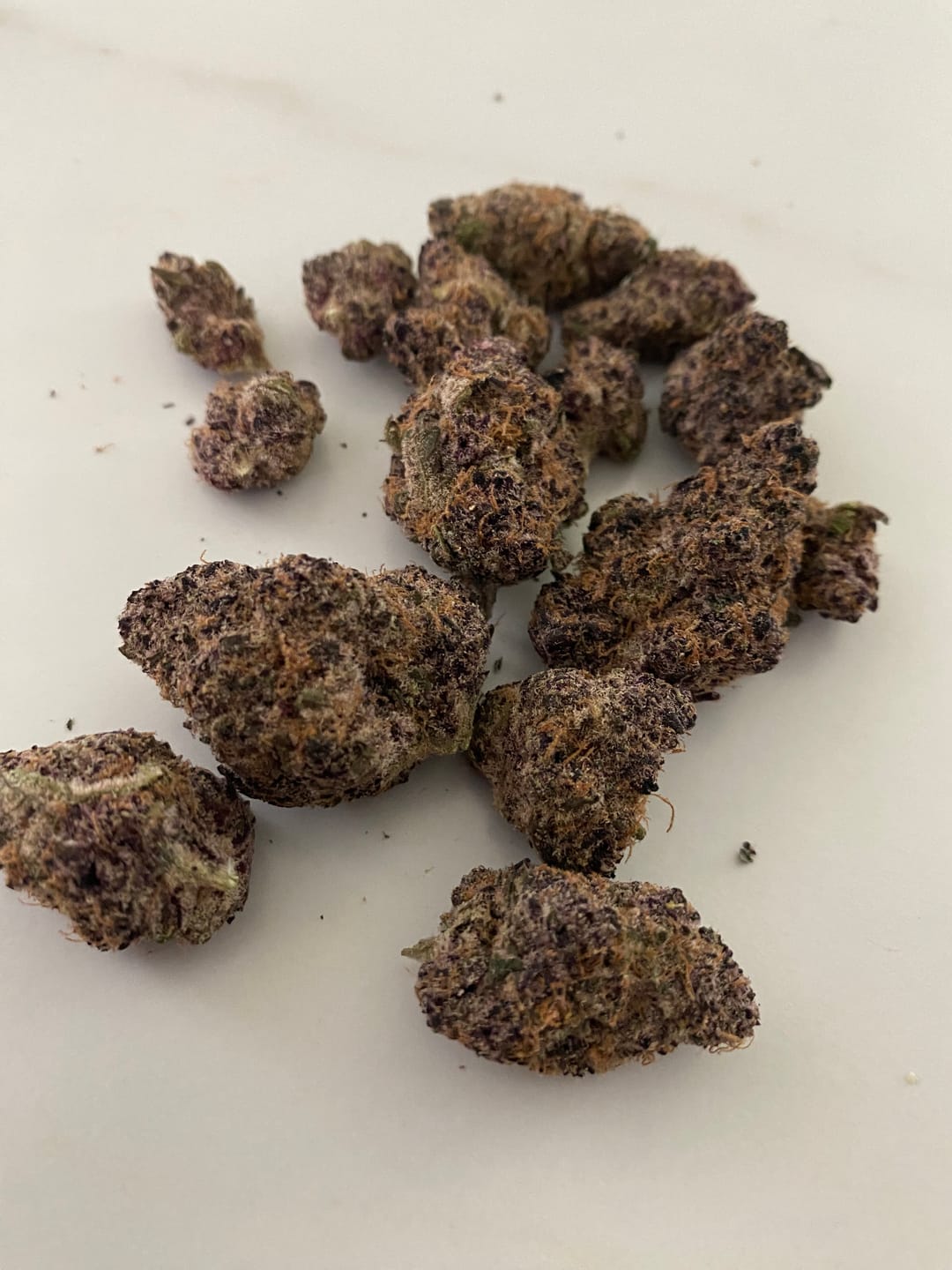 Customer photo review of Super Boof