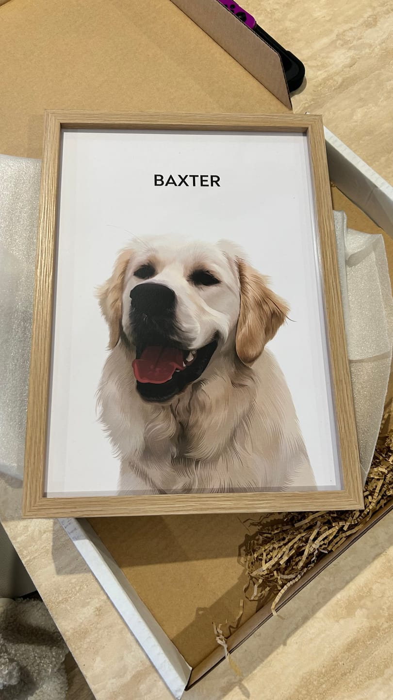 Customer photo review of 1 Pet
