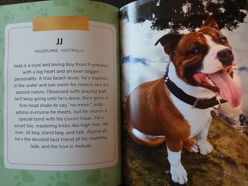 Customer photo review of Cutest Pets of the Month 2025 Photobook