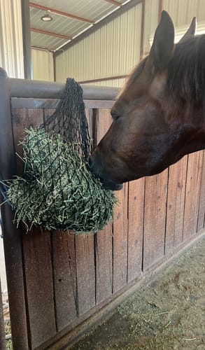 Customer photo review of Hay Chix® Half Bale Net