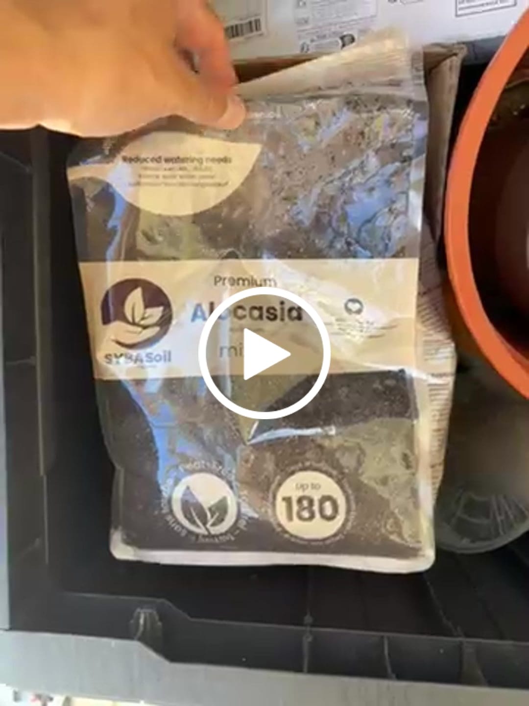 Customer video review of Alocasia Mix