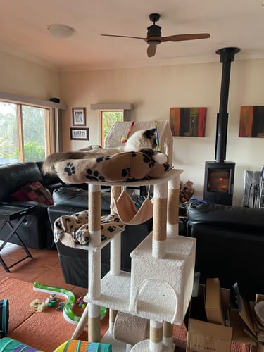 Customer photo review of Ona's Cottage Multi-Tier Cat Tree with Cat Scratching Posts