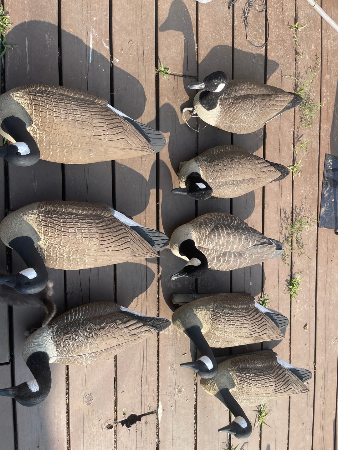 Customer photo review of Decoy Paint Kit - Small