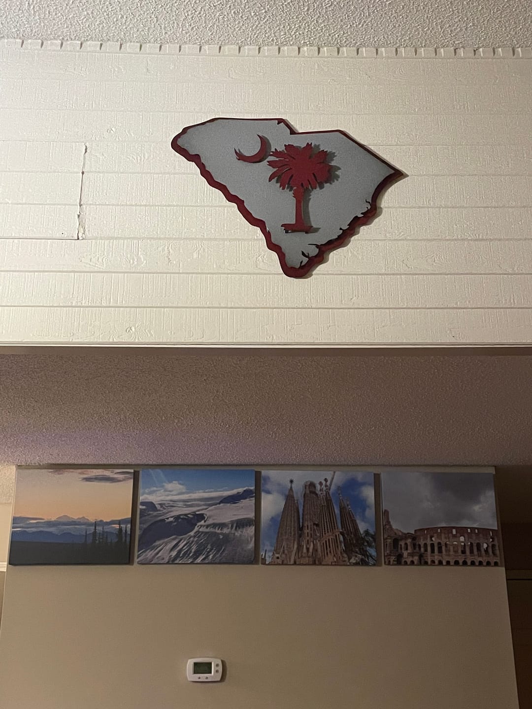 Customer photo review of South Carolina State Emblem 3D Vintage Metal Wall Art