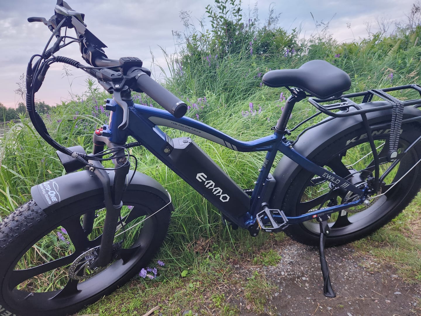 Customer photo review of E-Wild Pro