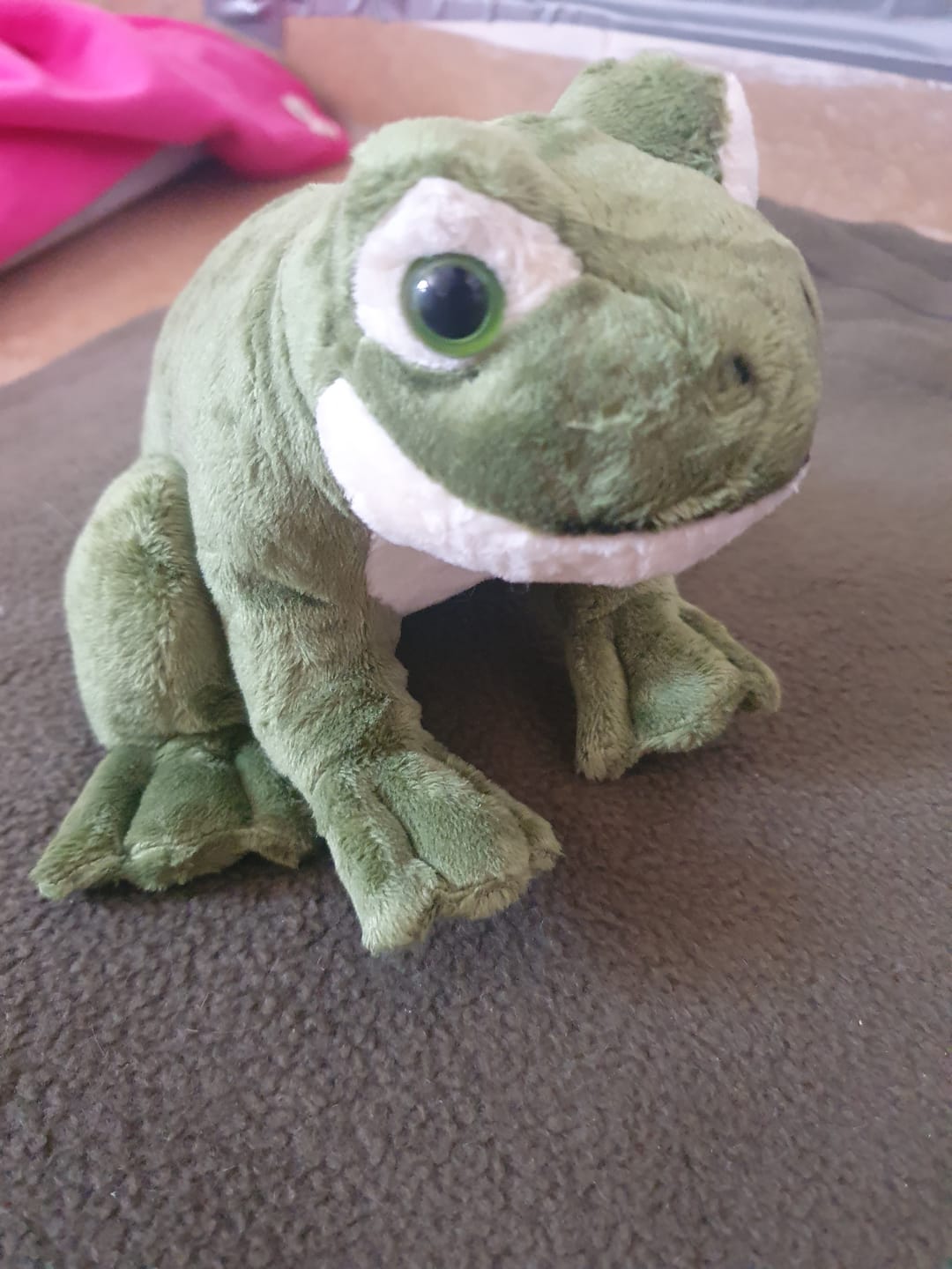 Customer photo review of Green Tree Frog Soft Stuffed Plush Toy