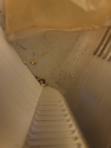 Customer photo review of Nugget Reserve 'MUSEUM SPECIMEN CHASE' - Gold Panning Paydirt Concentrate