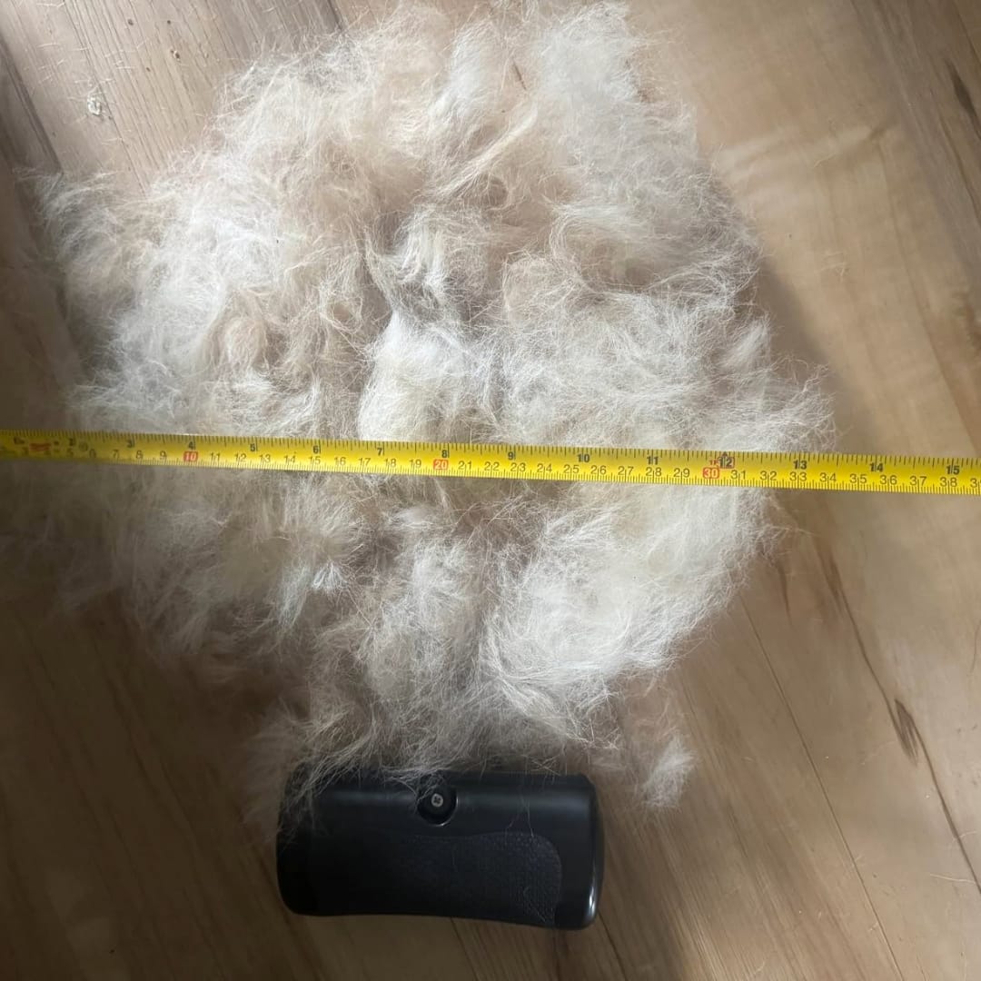 Customer photo review of GroomEase