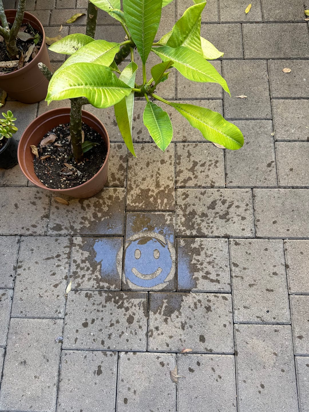 Customer photo review of FREE Smiley Face PopOut Stencil