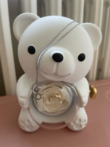 Customer photo review of Eternal Rose Bear – Personalized Necklace & Real Preserved Rose