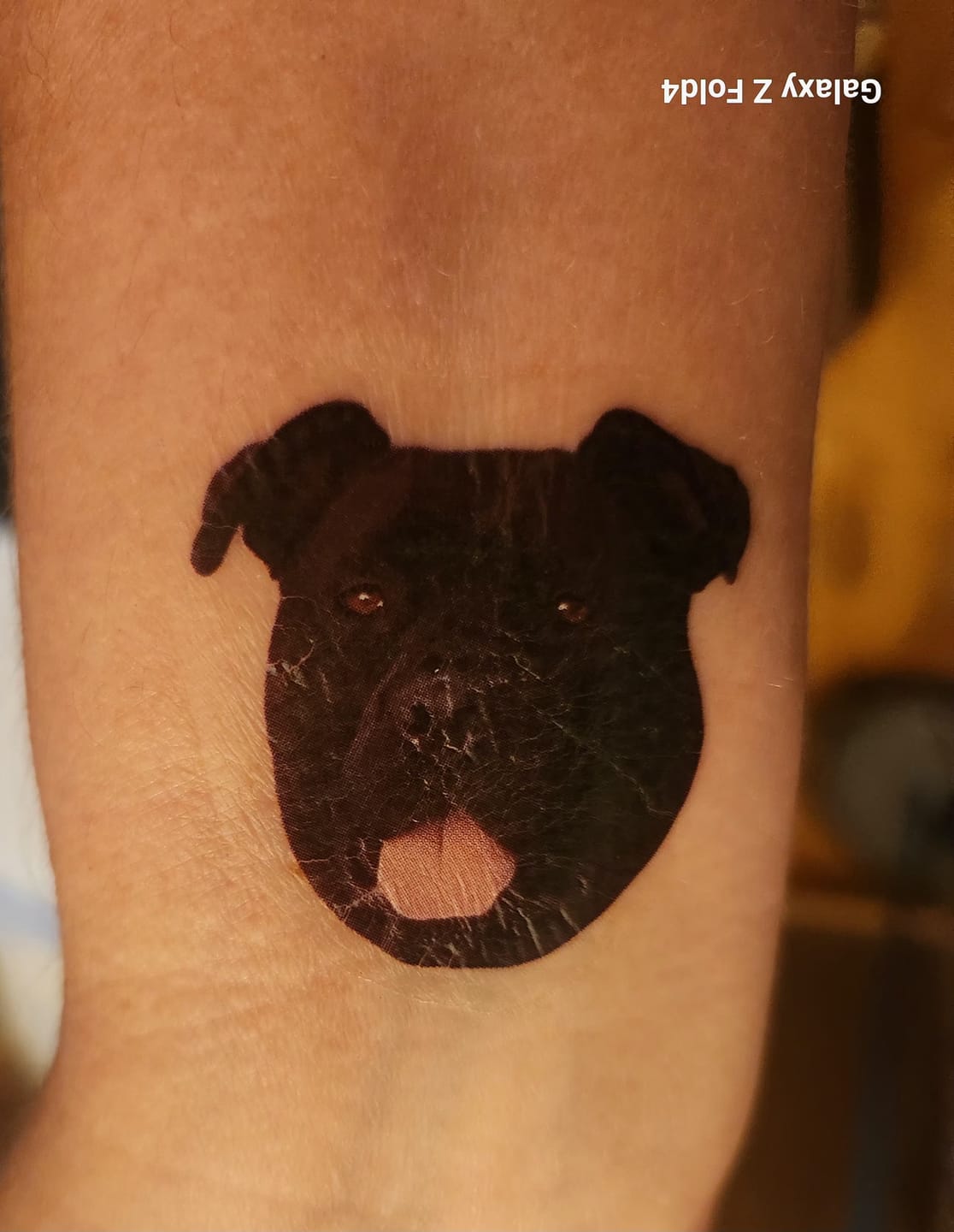 Customer photo review of Custom Photo Dog Face Cut-Out