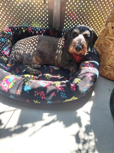 Customer photo review of Easy Fresh