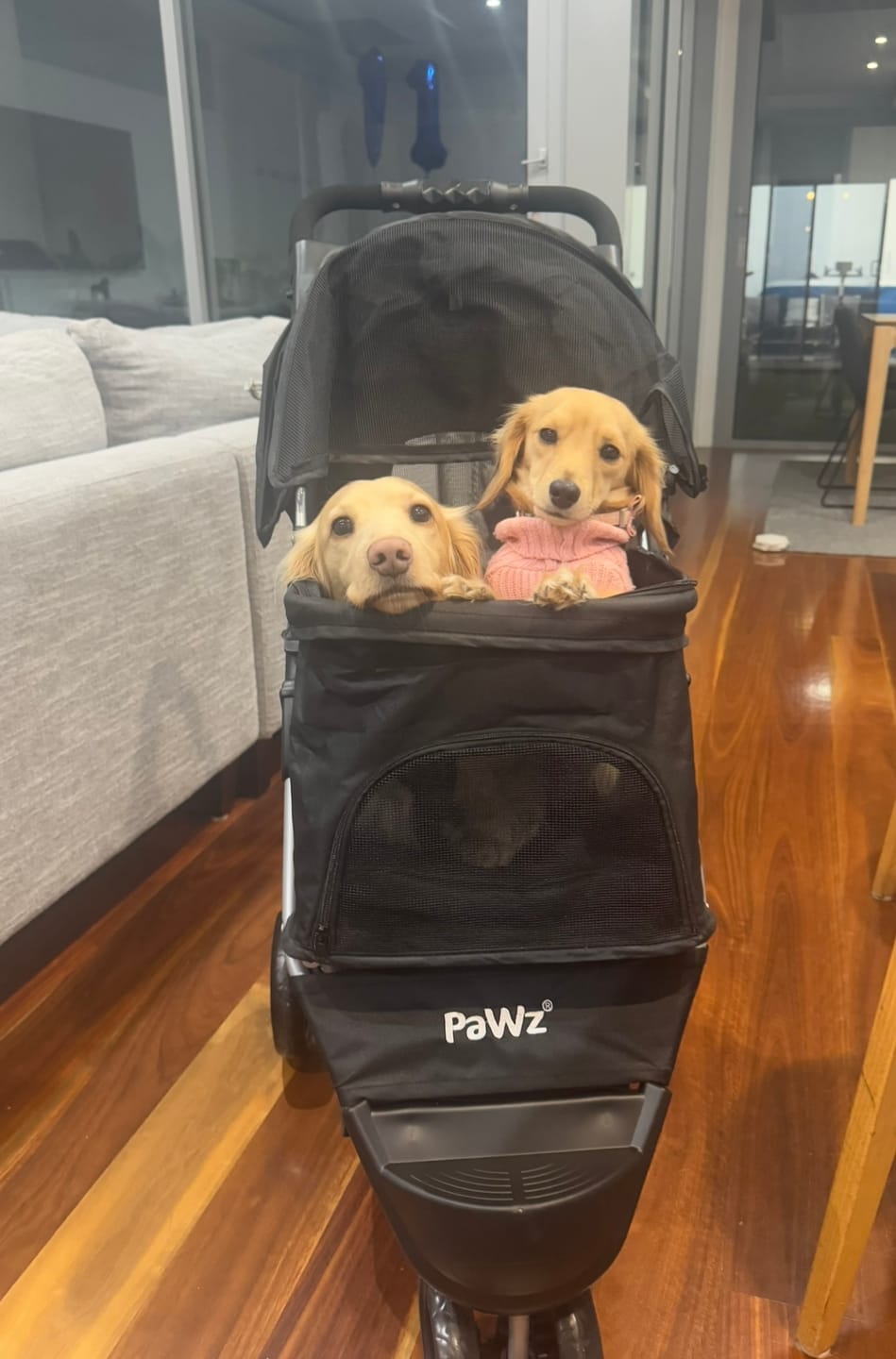 Customer photo review of PaWz Large Dog Stroller - 3 Wheels