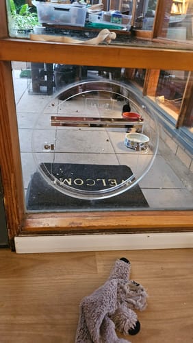 Customer photo review of Invisi Flap Pet Door For Glass