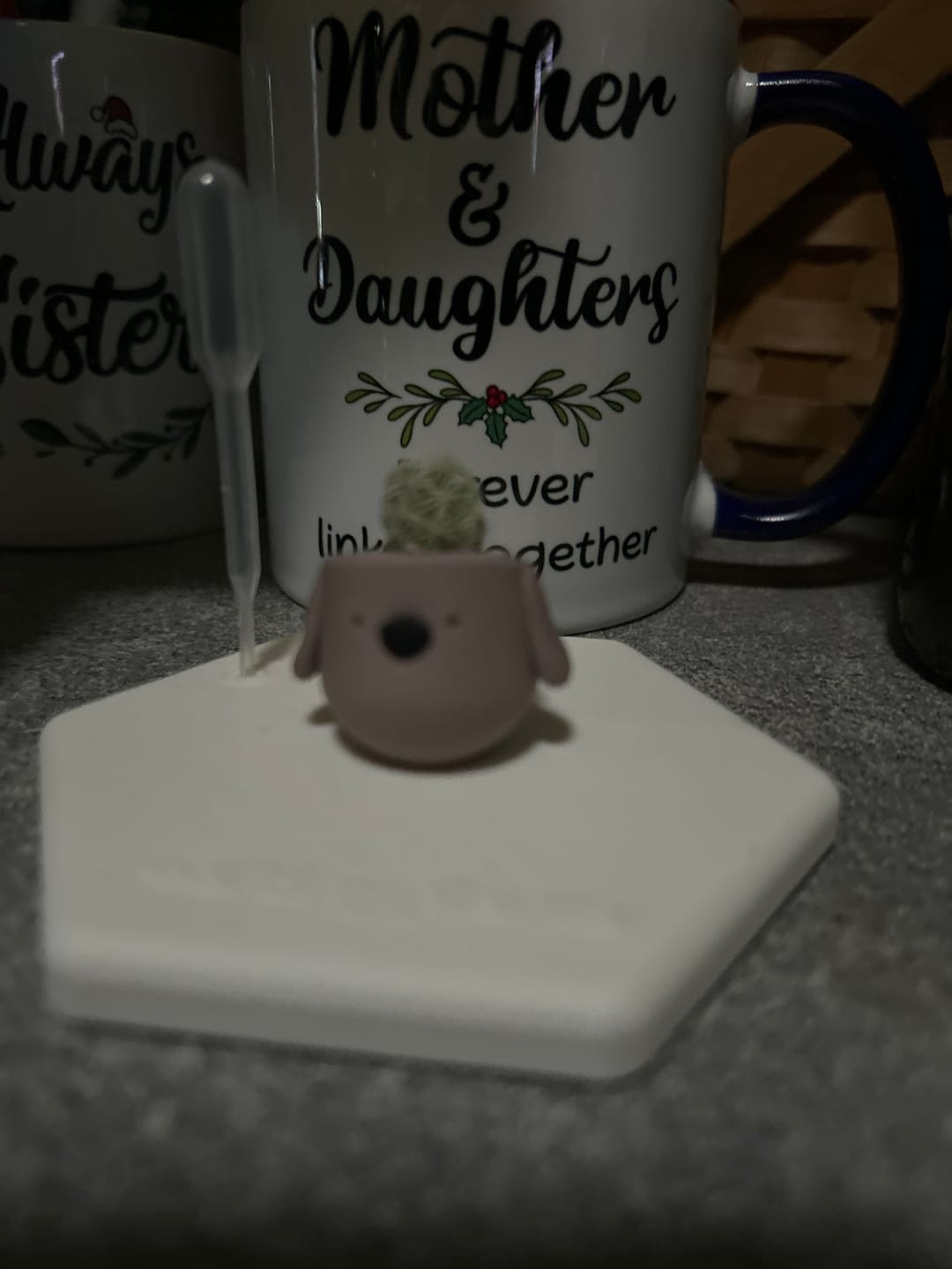 Customer photo review of Dookie Dog