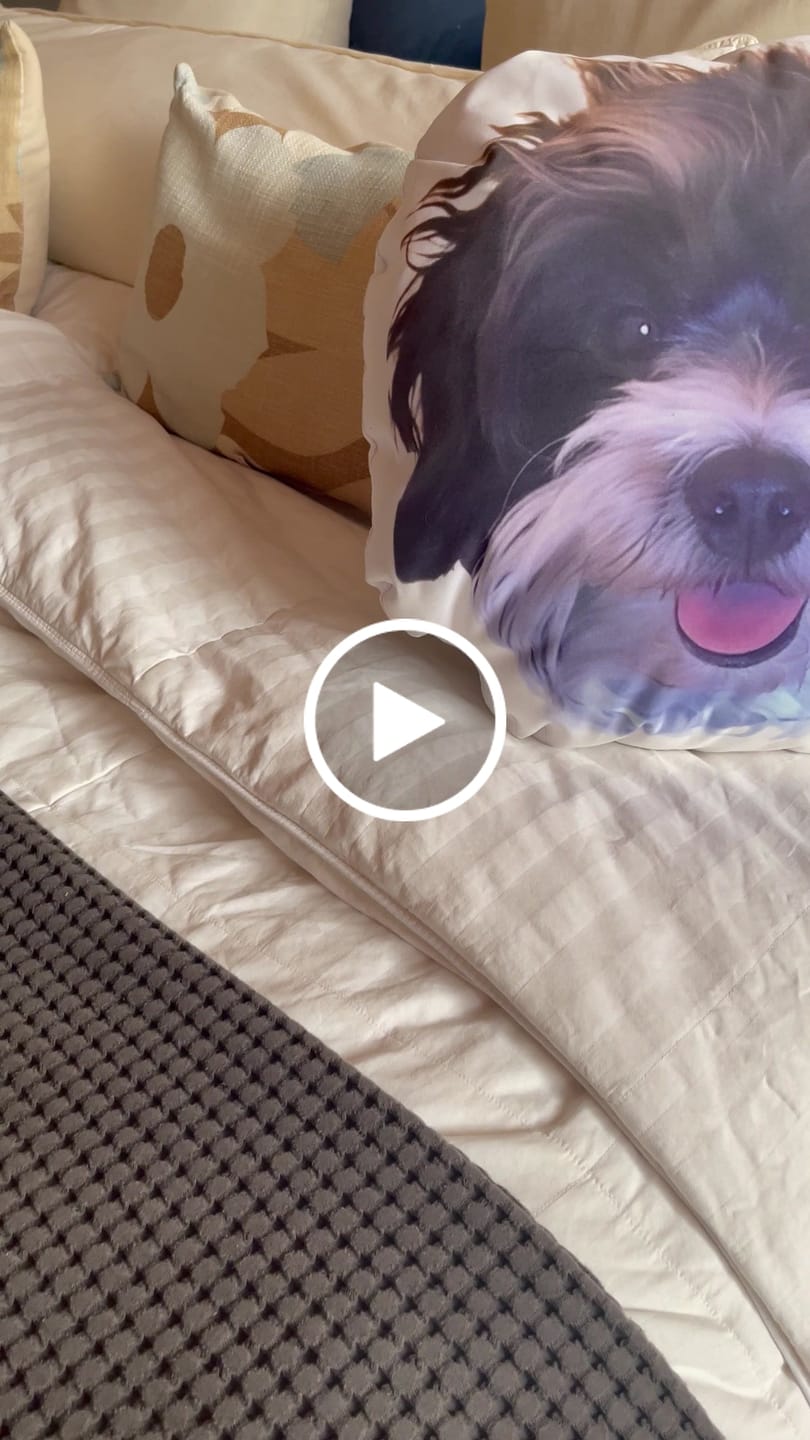 Customer video review of Cojines personalizados 📸🐾